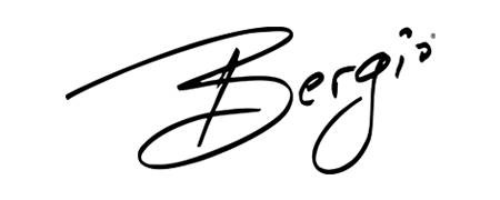 Логотип Bergio International